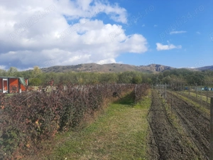 teren de vanzare - imagine 3