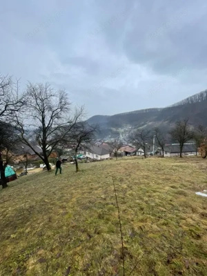 Casa reconsolidată cu teren generos — Oportunitate excelentă la preț foarte bun!