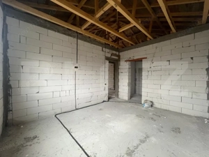 Casa plan parter 100 mpu, teren 450 mp, Malu Mare - imagine 8