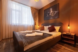 CENTRAL - CITY OF MARA - 2 CAMERE - LUX - EXCELENT INVESTITIE - imagine 4