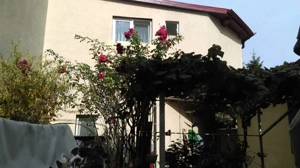 Vanzre 3 corpuri de casa noi si gradina in zona Mihai Bravu Bucuresti