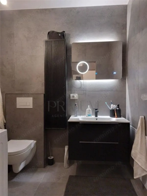 Sanmihaiul Roman- mobilat si utilat- stare excelenta