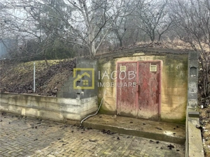 Vila P+M, 1150 mp teren, comuna Magura, jud. Bacau - imagine 12