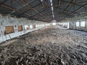 vand ferma la 40 km de Cluj-Napoca  - imagine 10