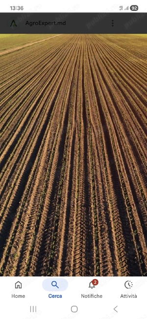 teren agricol 4 ha comasat