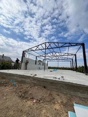 Hala industrială cu teren intravilan 3911 mp