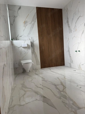 Casa de vânzare Berceni-Vidra - imagine 7