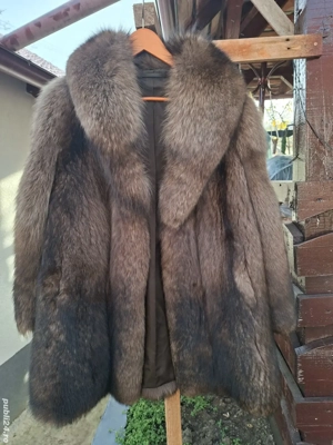 Haina dama vulpe polara - imagine 2