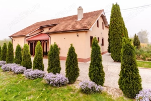 Casa moderna in Archis - imagine 5