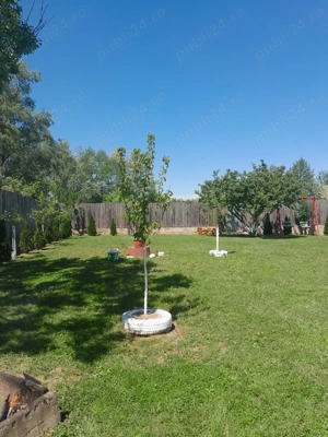 De vânzare casă în sat Pocola la 5 km de orașul Beiuș  - imagine 3