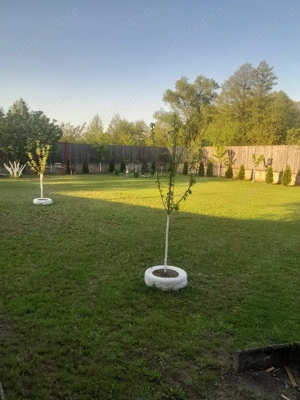 De vânzare casă în sat Pocola la 5 km de orașul Beiuș  - imagine 2