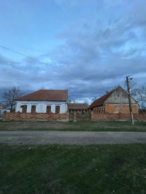 Vand casa cu gradina 3200mp2