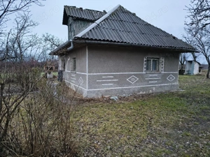 Vie la deal și livadă cu cabană  - imagine 4