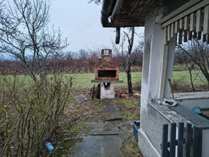 Vie la deal și livadă cu cabană  - imagine 10