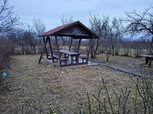 Vie la deal și livadă cu cabană  - imagine 9