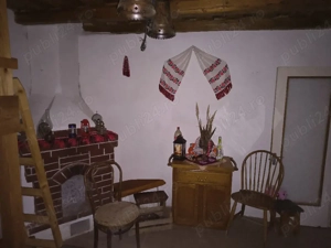 Vie la deal și livadă cu cabană  - imagine 6