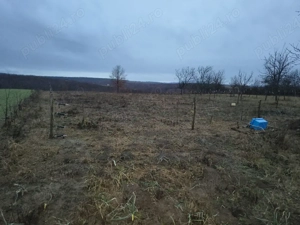 Vie la deal și livadă cu cabană  - imagine 8