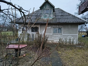 Vie la deal și livadă cu cabană  - imagine 2