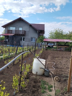 Casa de vinzare Furceni Vechi