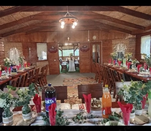 Proprietate de agrement unică - Terasă pe apa, teren 2300 mp, DN 6  Becicherecu Mic  - imagine 4