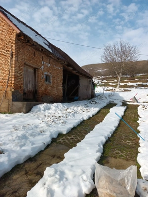 Casa Henig partial imbunatatiri - imagine 7