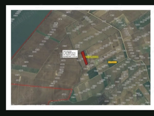 Teren extravilan Leș Nojorid Bihor   2,5euro mp   Ideal investiție