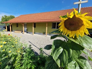 Casa de vanzare Vama Buzaului