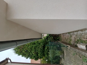 Ofer servici calitative - imagine 3