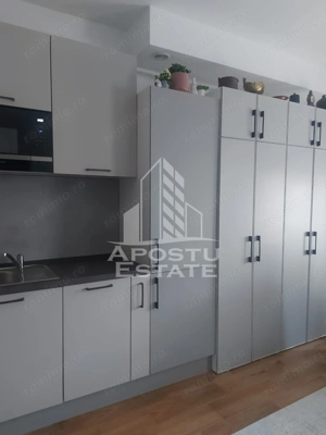 Studio in Remetea Mare - imagine 5