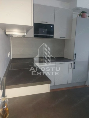 Studio in Remetea Mare - imagine 7