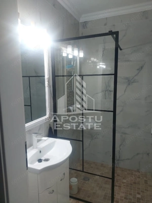 Studio in Remetea Mare - imagine 4