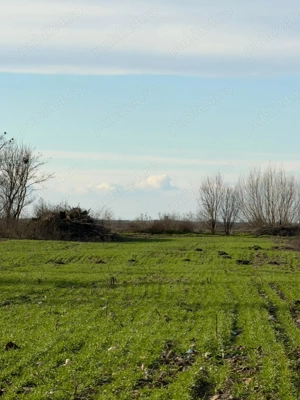 teren casa  - imagine 5