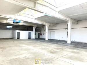 Hala industriala de inchiriat – 417 mp – zona centrala Arad - imagine 4
