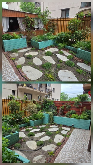 Apartament 2 camere + curte privată 50 mp + loc de parcare proprietate | Dobroești