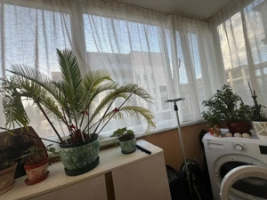 Exclusivitate!Apartament 3 camere ,ultracentral Baia Mare ,Serelor ,etaj 2/schimb cu 2 camere