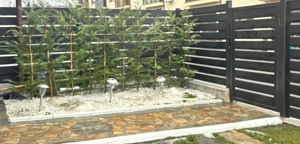 DTL Family Market Miroslava Casă P+E, 232 mp de teren,3 dormitoare,2 băi,mobilată, cartier privat  - imagine 3