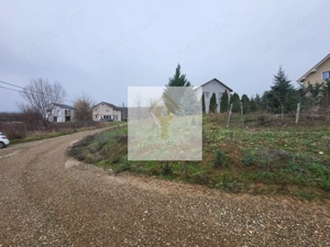 Teren extravilan Paleu - imagine 2