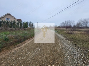 Teren extravilan Paleu - imagine 3