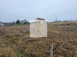 Teren extravilan Paleu