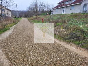 Teren extravilan Paleu - imagine 4