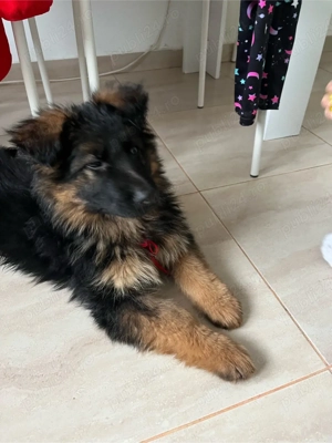 Ofer spre vanzare  - imagine 2