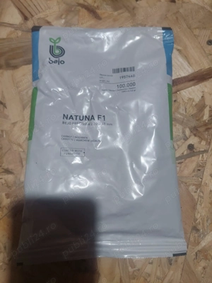 Vând sămânță de morcov profesionala 