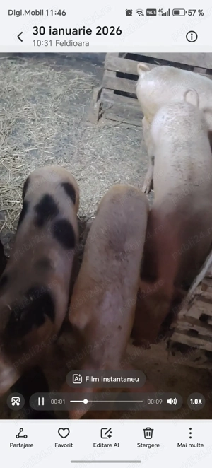 Soldani de vanzare...  - imagine 2