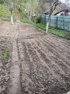 Vand casa la Nadrag zona linistita foarte aproape de centru - imagine 15