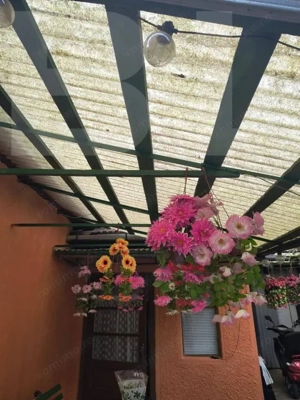 Vand casa la Nadrag zona linistita foarte aproape de centru - imagine 9