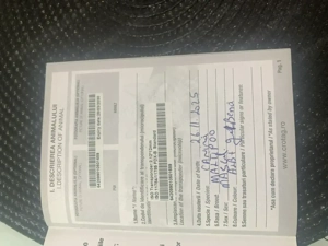  Maltipoo jucăuș  și drăgălaș  - imagine 4