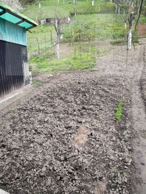 Vand casa la Nadrag zona linistita foarte aproape de centru - imagine 13