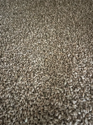 Grau calitate superioara