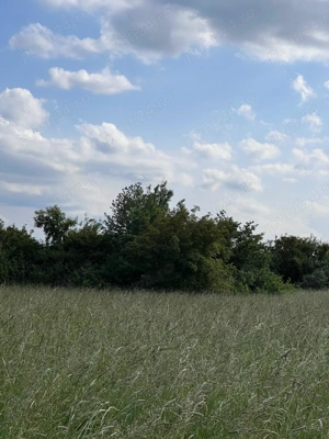 Teren 3507 MP- Zona Rezidentiala - Aeroport - Maramures - imagine 2