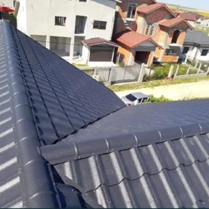 Acoperiș Dulgherie  - imagine 4